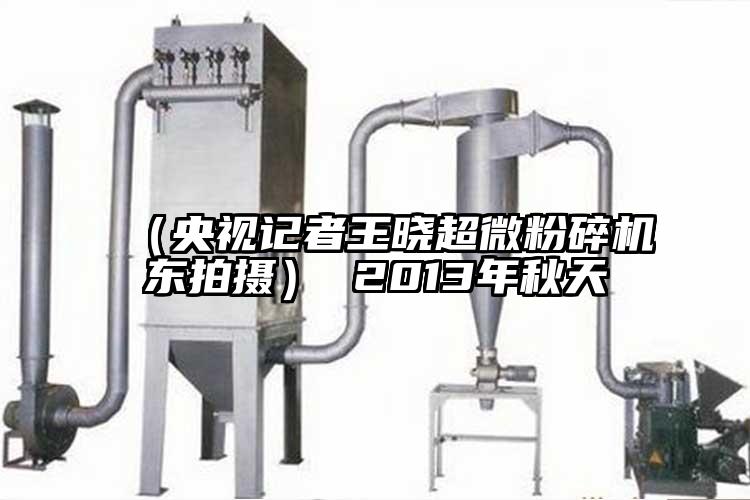 （央视记者王晓芭乐视频在线观看在线下载东拍摄） 2013年秋天