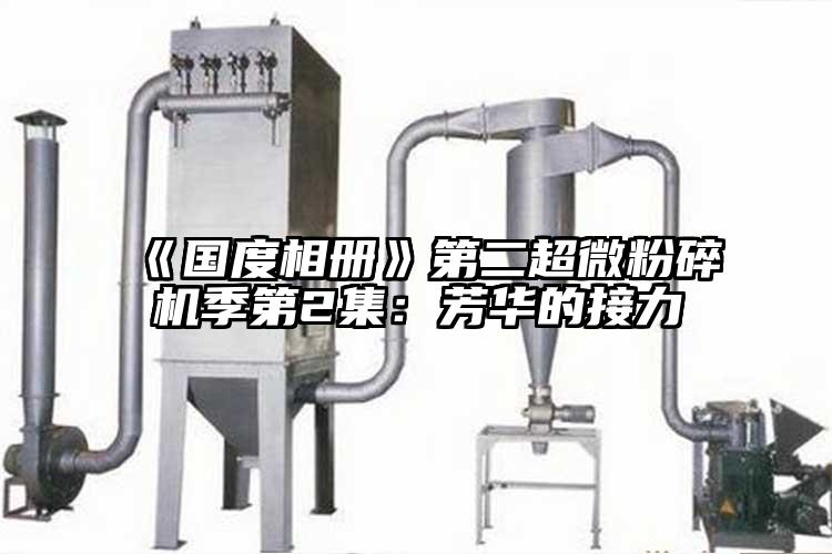 《国度相册》第二芭乐视频在线观看在线下载季第2集：芳华的接力
