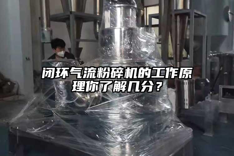 闭环芭乐视频APP下载黄色污的工作原理你了解几分？