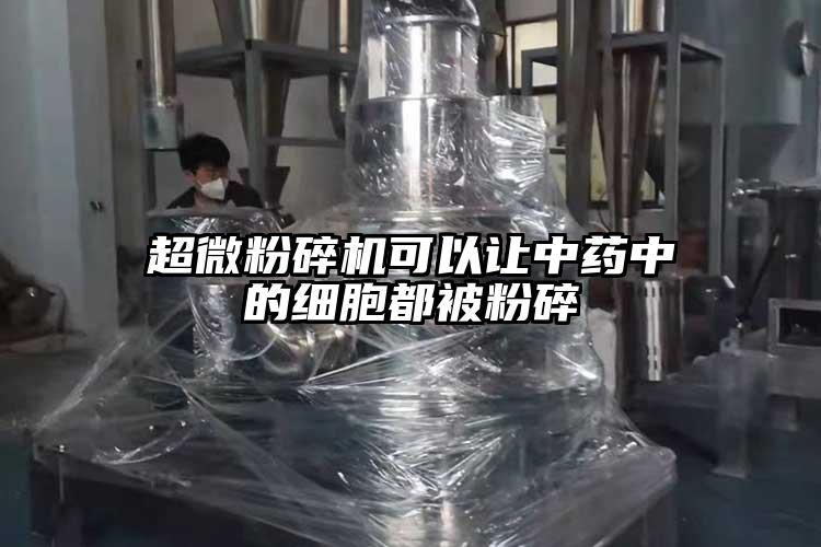 芭乐视频在线观看在线下载可以让中药中的细胞都被粉碎