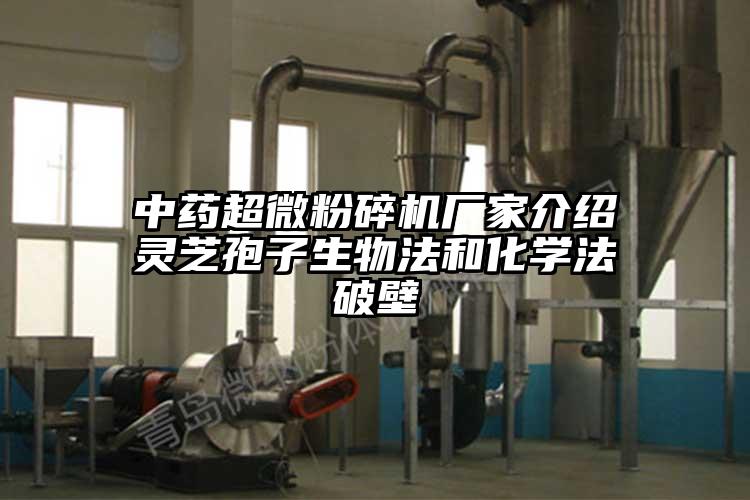 中药芭乐视频在线观看在线下载厂家介绍灵芝孢子生物法和化学法破壁