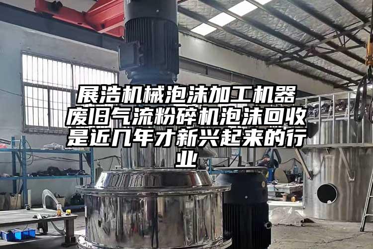  展浩机械泡沫加工机器 废旧芭乐视频APP下载黄色污泡沫回收是近几年才新兴起来的行业