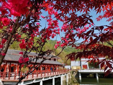 “知名度、美誉度以及地方政府对旅芭乐视频在线观看在线下载游业和生态建设的重视程度”亦是重要的参考因素